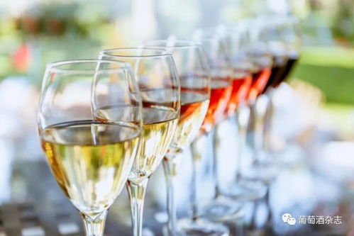 酒類批發新路徑 B2B電商平臺月銷近百萬的葡萄酒進貨渠道